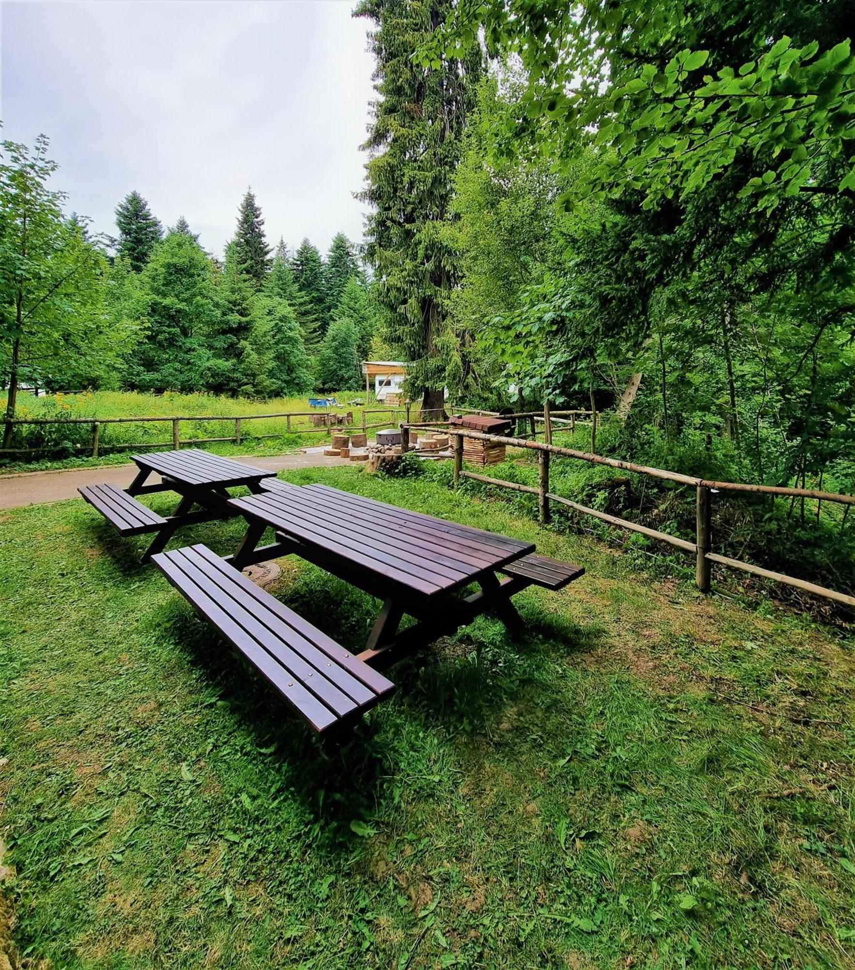 Kokiche 4 Friends, Borovets Daire Dış mekan fotoğraf